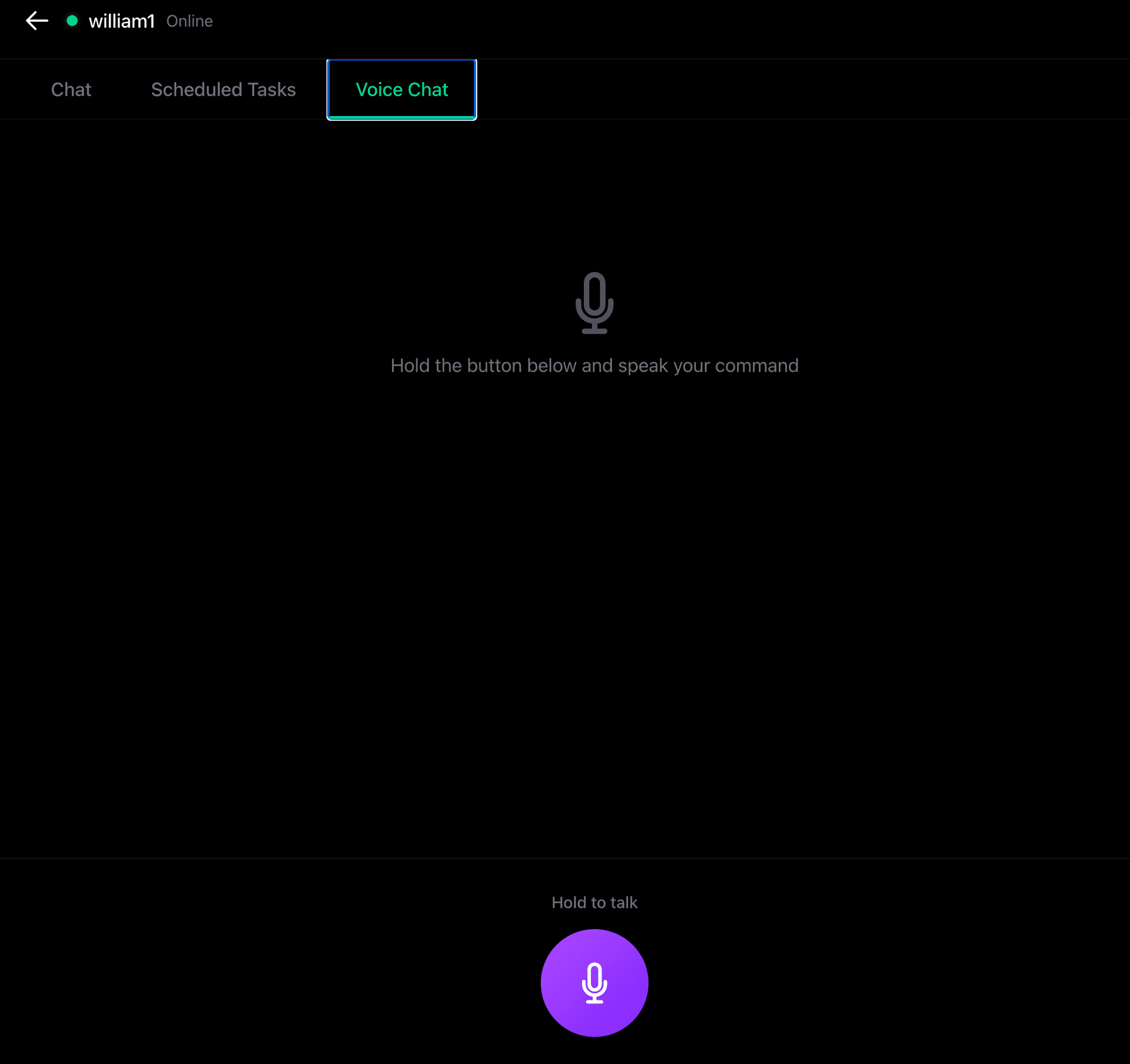 Voice Chat