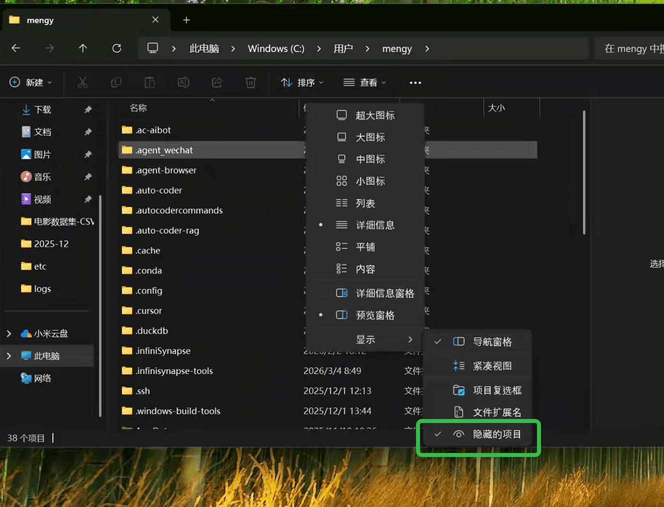 展示隐藏项目并删除 .auto-coder-rag
